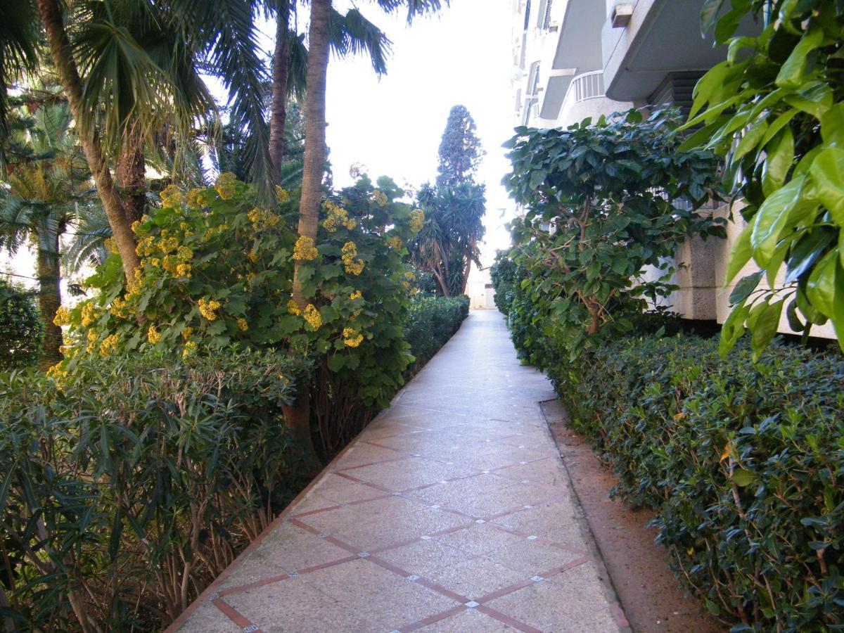 Apartamento Parque Ii, Mnostrum Playa De Gandia Exclusivo Familias מראה חיצוני תמונה